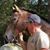 Brian Hart's profile image