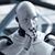Guerrero Montes Carlos's profile image