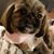 Kathy Gunning's profile image
