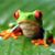William Cas's profile image