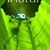 Cristian Alejandro Lira's profile image