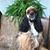 Annette Beard's profile image