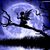 Karen Ettman's profile image