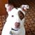 Twila N Darren's profile image