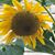 Cathy McClure's profile image
