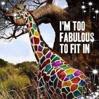 Julie Lautzenheiser's profile image