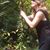 Tara Bolin's profile image
