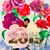 Juliet Rodriguez's profile image
