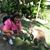 Nancy L. Ausley's profile image