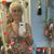 Janet Ladner's profile image