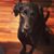 Courtney Vargo's profile image