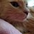 Lori Klem's profile image