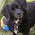 Carrie Patton Altman's profile image