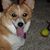 Terry Watson's profile image