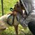 Deana Hendricks Bond's profile image
