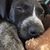Jennifer Lorenz Mewes's profile image