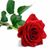 Antionette Jackson's profile image