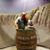 Sandy Zahn Kleppe's profile image