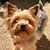 Carrie Mansilla's profile image