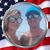 Nate Burgess's profile image