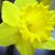 Audi Blankenship's profile image