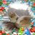 Jenny Lorraine's profile image