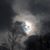 Jordec Shannon Cramer's profile image