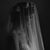 Catherine Rose Cavender's profile image
