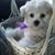 Nancy Fonseca's profile image