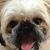 Amy Jordan Carpinelli's profile image