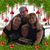 Lisa Russo's profile image