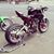 Tariq Ziad's profile image