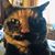 Annette DuBord's profile image