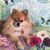 Holly Stryker's profile image