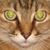 Debra Bartowick's profile image