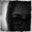 Terri Martin's profile image