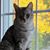 Kristy Brown's profile image