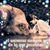 Patricia Mabel Astudillo's profile image