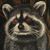 Amy Heath's profile image