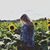 Amanda Nicole Martin's profile image