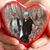 Lee Ronna Lance's profile image