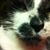 Heather Engle Bush's profile image