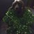 Pat Causgrove Wheeler's profile image