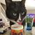 Sandra Dee Lutheran's profile image