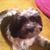 Suzie Tucker Binder's profile image
