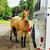 Cathy Lynn Zick Minix's profile image