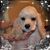 Marilee Densmore's profile image