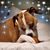 Sandy Wegner Samsel's profile image