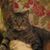 Molly Seeman's profile image