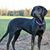 Mary Clayson's profile image